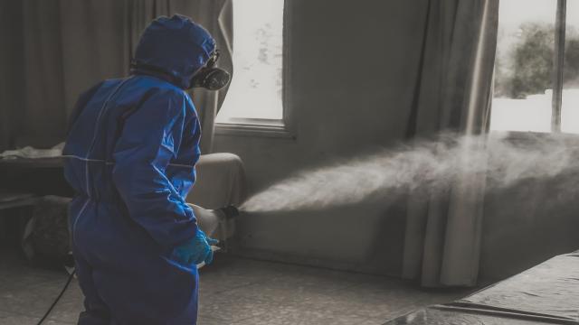 dezinfekciya-pomeshcheniy-bystryy-rezultat-vyvedem-klopov-tarakanov-unichtozhenie-vrediteley-i-nasekomyh-bystro-ne-dorogo-kachestvenno
