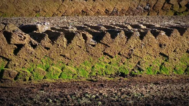 intellektualnye-sistemy-analiza-pochvy-i-planirovaniya-agrotehnicheskih-meropriyatiy-ot-supptech